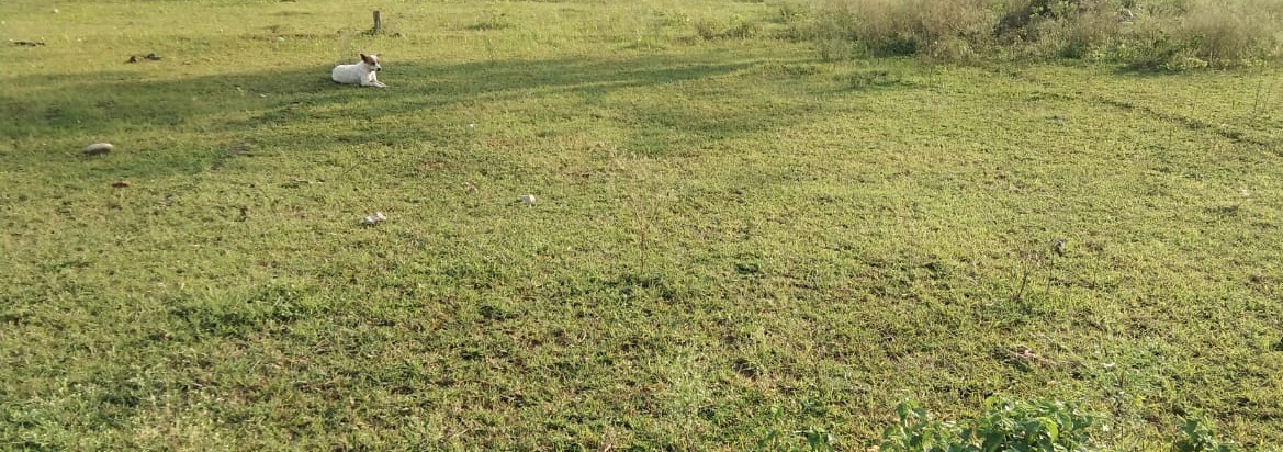 Residential land / Plot in Near Vivekanand Colony